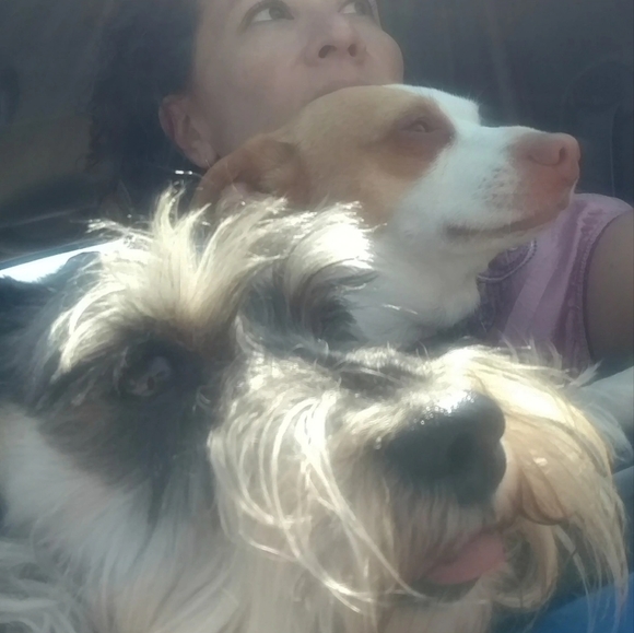 Meet your Posher, Renee - Picture 5 of 5